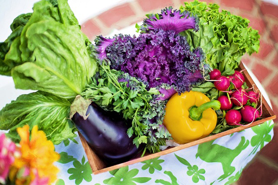 Pozitivní účinky zeleniny na organismus