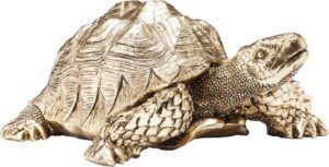 Dekorativní soška ve zlaté barvě Kare Design Turtle. Cvičení