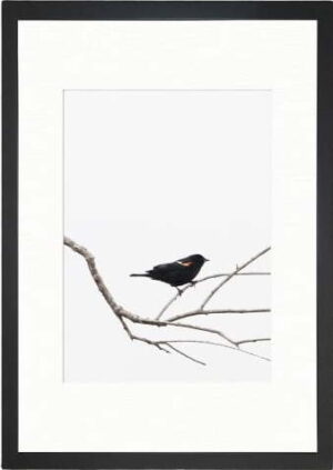 Plakát 24x29 cm Bird on the Branch – Tablo Center. Cvičení