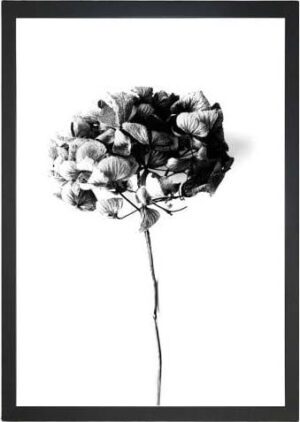 Plakát 24x29 cm Velvet Flower – Tablo Center. Cvičení