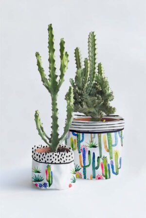 Sada 2 textilních obalů na květináč Surdic Watercolor Cactus. Cvičení