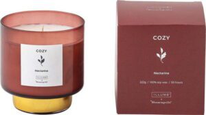 Vonná svíčka doba hoření 50 h Cozy Nectarine – ILLUME x Bloomingville. Cvičení