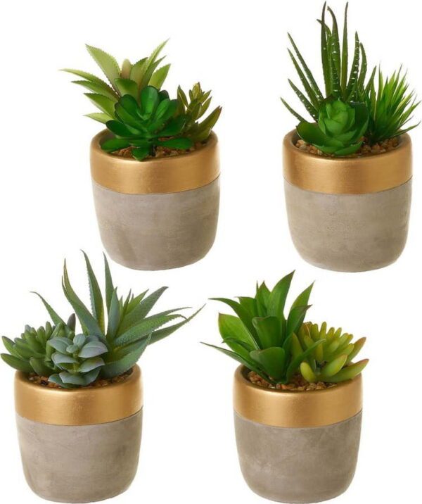 Umělé rostliny v sadě 4 ks (výška 17 cm) Cactus – Casa Selección. Cvičení
