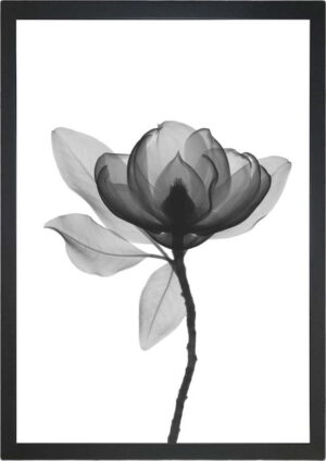 Plakát 24x29 cm Harmony Flower – Tablo Center. Cvičení