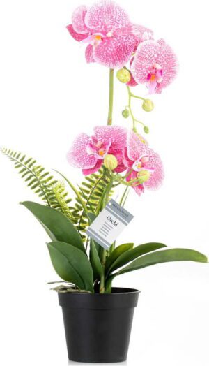 Umělá květina (výška 55 cm) Orchid – AmeliaHome. Cvičení