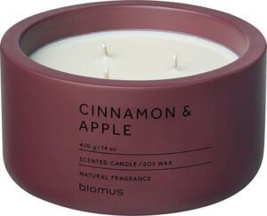 Vonná sojová svíčka doba hoření 25 h Fraga: Cinnamon & Apple – Blomus. Cvičení