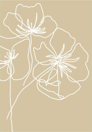 Plakát 29x41 cm White Poppy – Veronika Boulová. Cvičení