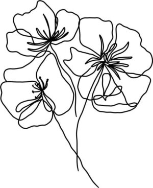Plakát 29x41 cm Black Poppy – Veronika Boulová. Cvičení