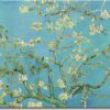 Nástěnná reprodukce na plátně Vincent Van Gogh Almond Blossom