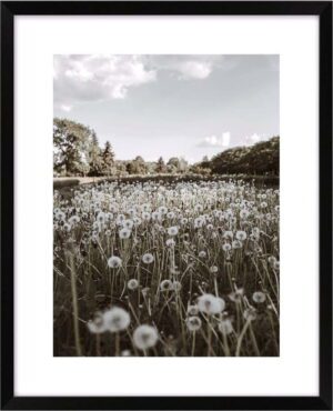 Plakát 40x50 cm Meadow. Cvičení