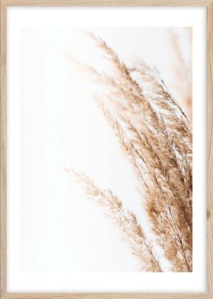 Plakát v rámu 50x70 cm Beige II – Styler. Cvičení