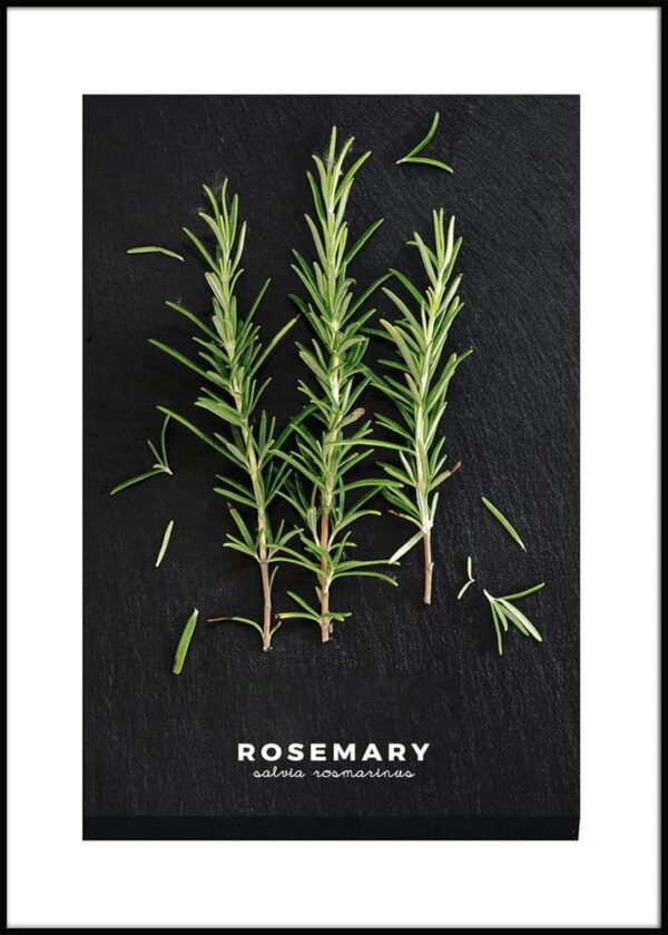 Plakát v rámu 50x70 cm Rosemary – Styler. Cvičení