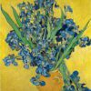 Reprodukce obrazu Vincenta van Gogha - Irises