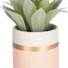 Umělá rostlina (výška 14 cm) Agave – Kave Home. Cvičení