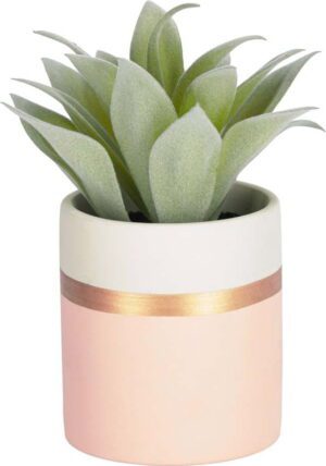 Umělá rostlina (výška 14 cm) Agave – Kave Home. Cvičení