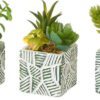 Umělé rostliny v sadě 3 ks (výška 12 cm) Cactus – Casa Selección. Cvičení