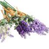 Umělé květiny v sadě 3 ks (výška 32 cm) Lavender Bouquet – Casa Selección. Cvičení