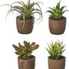 Umělé rostliny v sadě 4 ks (výška 10 cm) Cactus – Casa Selección. Cvičení