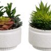 Umělé rostliny v sadě 2 ks (výška 19 cm) Cactus – Casa Selección. Cvičení