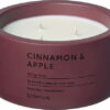 Vonná sojová svíčka doba hoření 25 h Fraga: Cinnamon & Apple – Blomus. Cvičení