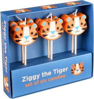 Dortové svíčky v sadě 6 ks Ziggy The Tiger – Rex London. Cvičení