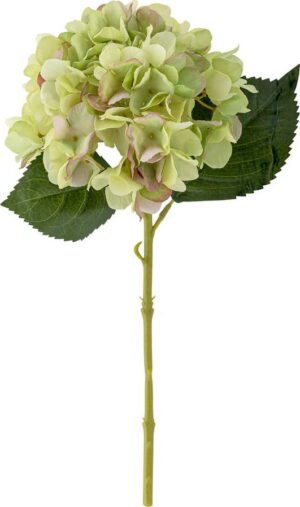 Umělá květina (výška 36 cm) Hydrangea – Bloomingville. Cvičení