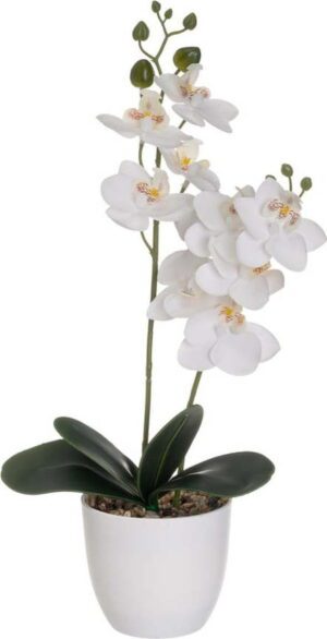 Umělá květina (výška 39 cm) Orchid – Casa Selección. Cvičení