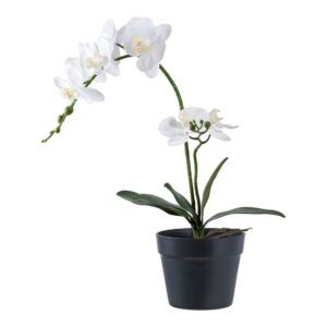 Umělá květina (výška 47 cm) Orchid – House Nordic. Cvičení