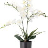 Umělá květina (výška 84 cm) Orchid – Bloomingville. Cvičení