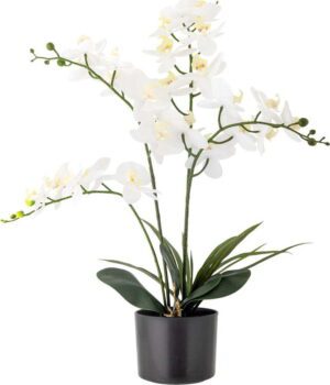 Umělá květina (výška 84 cm) Orchid – Bloomingville. Cvičení