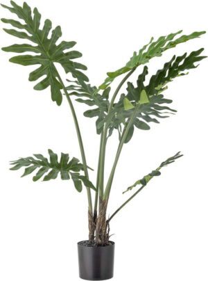 Umělá květina (výška 84 cm) Philodendron – Bloomingville. Cvičení