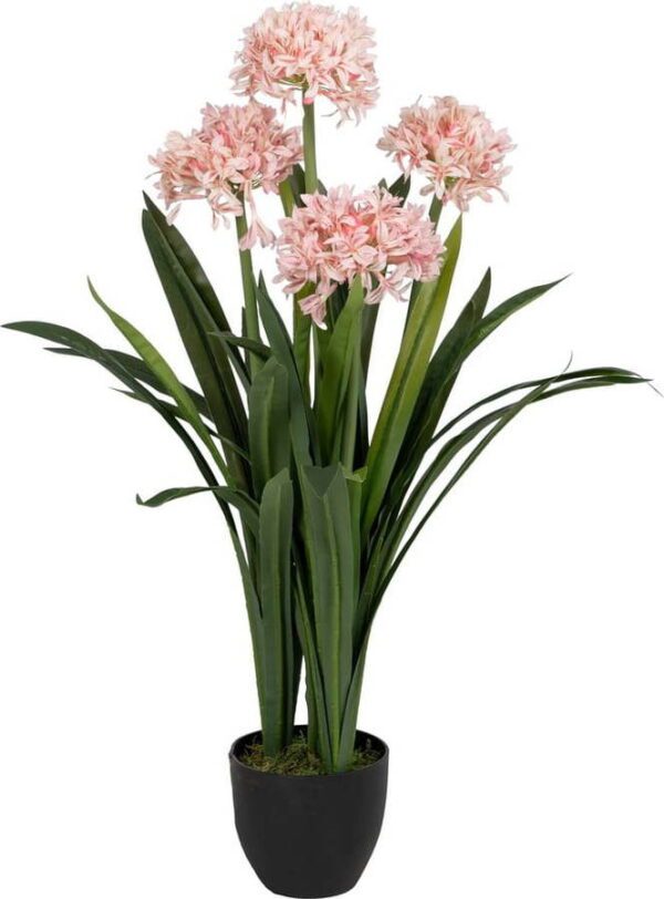 Umělá květina (výška 100 cm) Hyacinth – Ixia. Cvičení