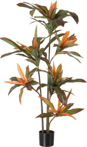 Umělá rostlina (výška 140 cm) Dracena – Ixia. Cvičení