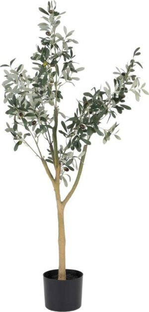 Umělý olivovník (výška 112 cm) Olive Tree – Ixia. Cvičení