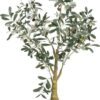 Umělý olivovník (výška 78 cm) Olive Tree – Ixia. Cvičení