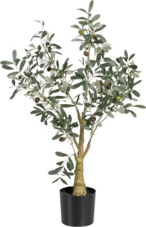 Umělý olivovník (výška 78 cm) Olive Tree – Ixia. Cvičení